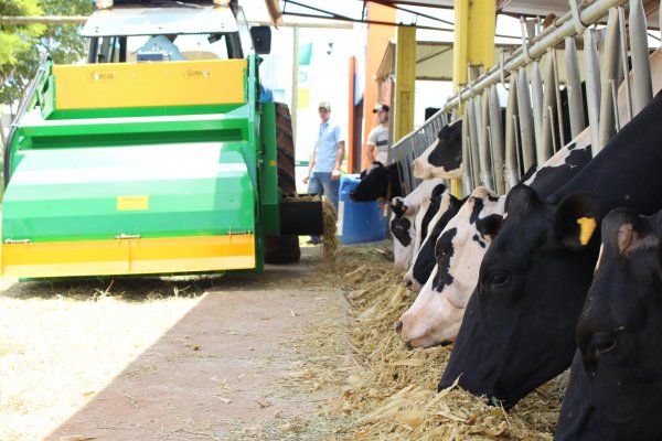 Fomento leiteiro realiza din&acirc;micas no Dia de Campo Copagril