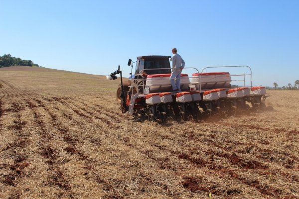 Produtores da &aacute;rea de a&ccedil;&atilde;o da Copagril realizam plantio de milho segunda safra