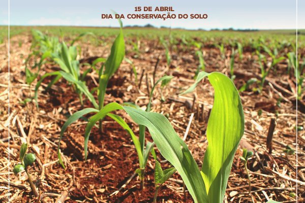 Dia da Conserva&ccedil;&atilde;o do Solo &eacute; celebrado neste s&aacute;bado
