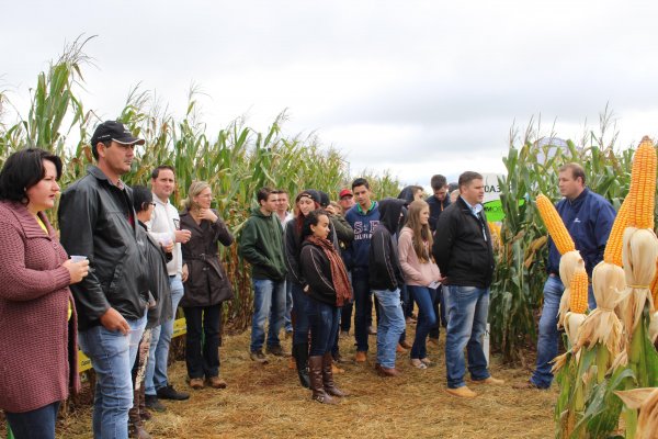 Dia de Campo do Milho Safrinha Copagril atrai produtores e estudantes da regi&atilde;o