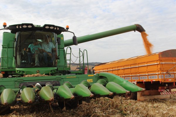 Copagril orienta produtores sobre cuidados na colheita do milho safrinha