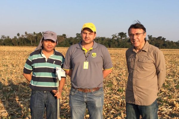 Pesquisador recomenda antecipa&ccedil;&atilde;o do controle de plantas daninhas