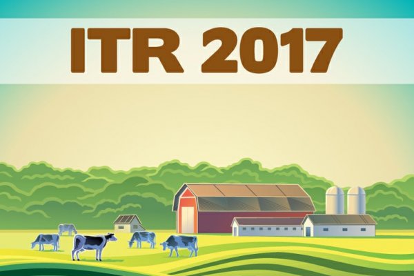 ITR: Prazo para entrega de declara&ccedil;&atilde;o de propriedades rurais termina sexta-feira