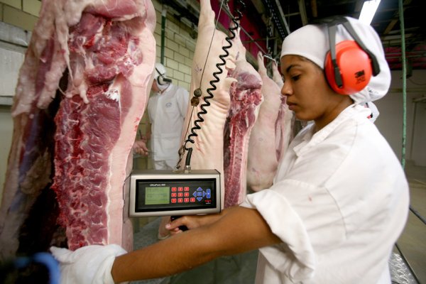 Com novo frigor&iacute;fico da Frimesa, Paran&aacute; dever&aacute; se tornar l&iacute;der em carne su&iacute;na