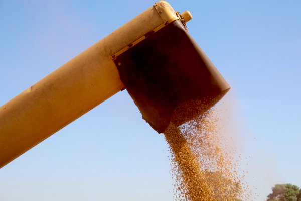 Aumento da produtividade &eacute; respons&aacute;vel por 80% do crescimento da agropecu&aacute;ria