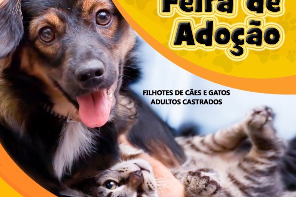 Feira de ado&ccedil;&atilde;o de c&atilde;es e gatos ser&aacute; realizada na Loja Agropecu&aacute;ria Copagril de Marechal Rondon