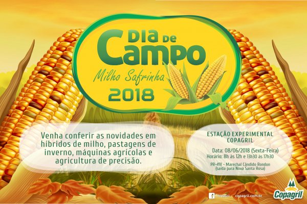 Dia de Campo do Milho Safrinha Copagril apresentar&aacute; mais de 50 h&iacute;bridos