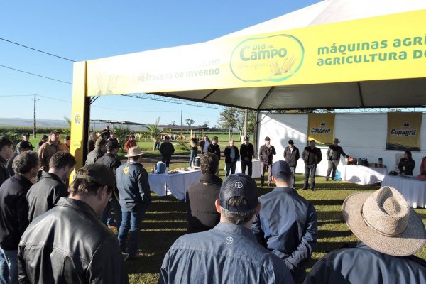 Dia de Campo Milho Safrinha Copagril difunde h&iacute;bridos de biotecnologia avan&ccedil;ada