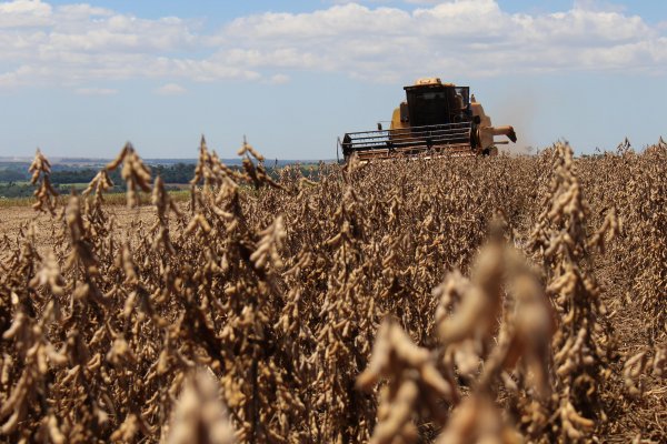 Valor Bruto da Produ&ccedil;&atilde;o Agropecu&aacute;ria est&aacute; estimado em R$ 562,4 bilh&otilde;es
