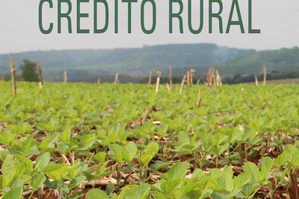 T&eacute;cnicos das cooperativas ser&atilde;o orientados sobre cr&eacute;dito rural 