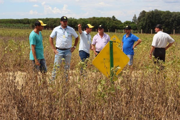 Inova&ccedil;&otilde;es tecnol&oacute;gicas para agricultura s&atilde;o demonstradas no Dia de Campo Copagril