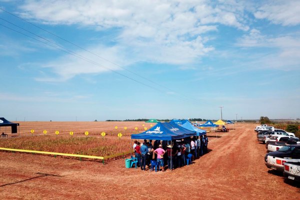 Copagril realiza primeiro Dia de Campo soja ver&atilde;o em Itaquira&iacute;