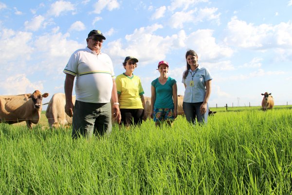 Volumosos devem representar 60% da alimenta&ccedil;&atilde;o dos bovinos