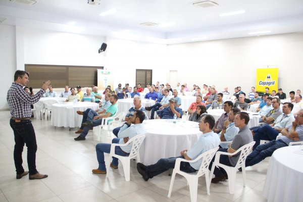 Falta de micronutrientes pode limitar produtividade de soja e milho