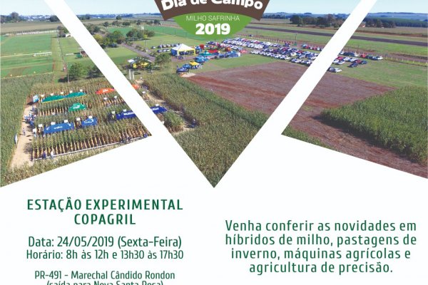 Dia de Campo Milho Safrinha Copagril ser&aacute; realizado na sexta-feira