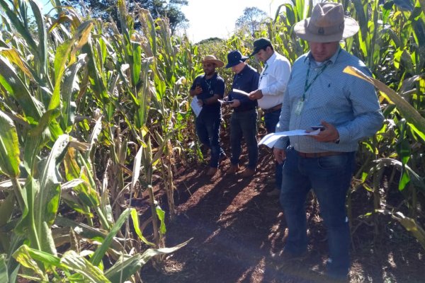 Copagril recebe visita t&eacute;cnica de pesquisadores do Iapar