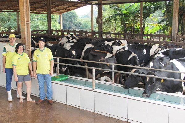 Sombra e &aacute;gua fresca: bem-estar das vacas favorece a produtividade de leite