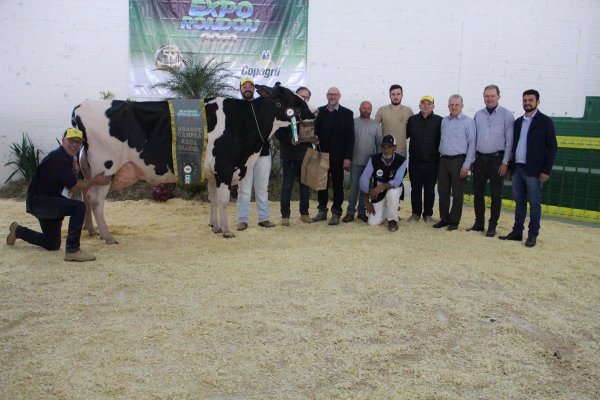 Melhores bovinos da ra&ccedil;a holandesa s&atilde;o premiados na Expo Rondon 2019