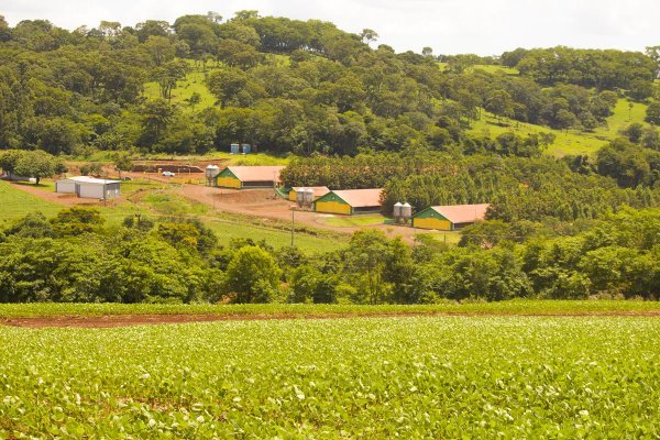 Propriet&aacute;rios de im&oacute;veis rurais j&aacute; podem emitir o CCIR 2019