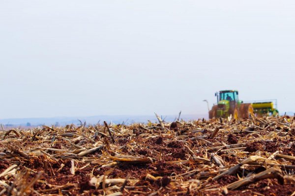 Primavera chega com previs&atilde;o de normalidade no clima