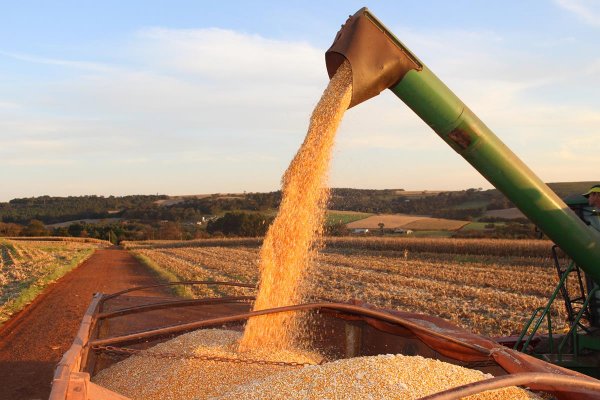  Produtividade da agropecu&aacute;ria brasileira cresce 3,36% ao ano