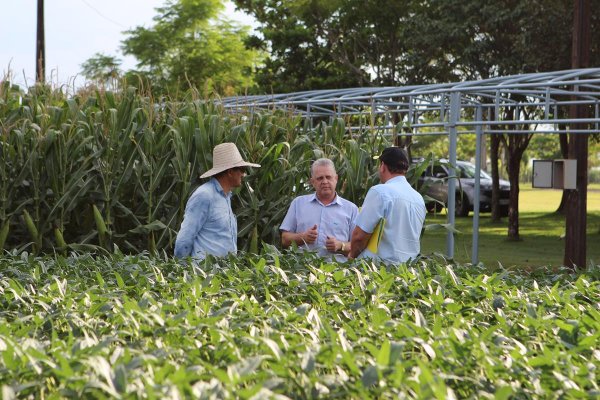 Organiza&ccedil;&atilde;o do Dia de Campo 2020 est&aacute; a todo vapor