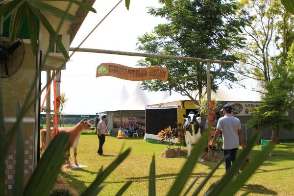 Fomentos da Copagril levam inova&ccedil;&atilde;o para o Dia de Campo 2020