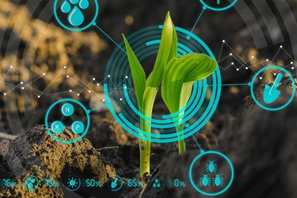 Agricultura 4.0 - inova&ccedil;&otilde;es nos processos produtivos