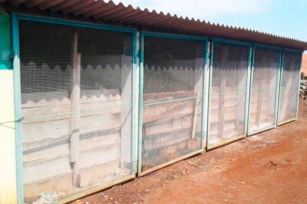 Produtores devem ter aten&ccedil;&atilde;o especial no manejo da composteira