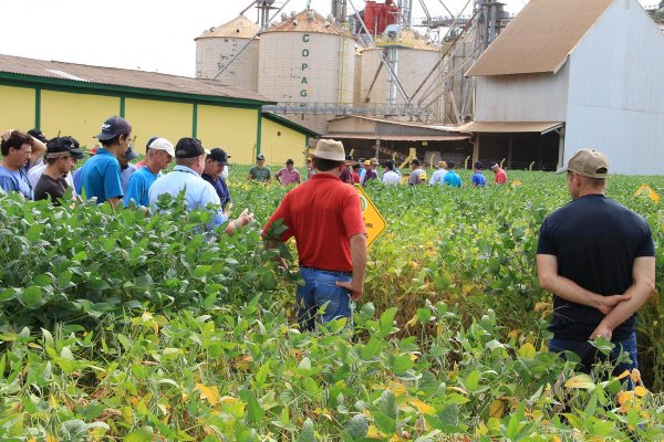 Copagril realiza Dia de Campo Cultivares de Soja em Bela Vista