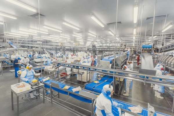 Ind&uacute;strias de alimentos do Paran&aacute; mant&eacute;m produ&ccedil;&atilde;o