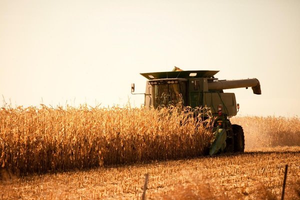 Covid-19: Governo anuncia medidas econ&ocirc;micas para ajudar produtores e cooperativas