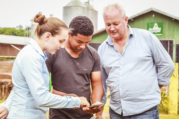 Cooperados Copagril acompanham produ&ccedil;&atilde;o de aves pelo celular