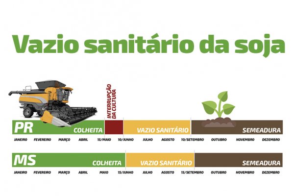 Vazio sanit&aacute;rio da soja come&ccedil;a na pr&oacute;xima semana