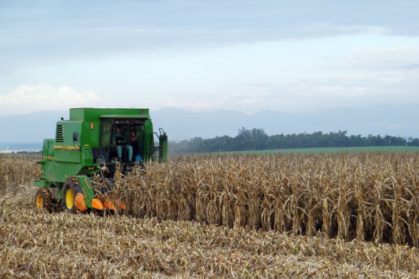 PIB da agropecu&aacute;ria registra alta no segundo trimestre de 2020