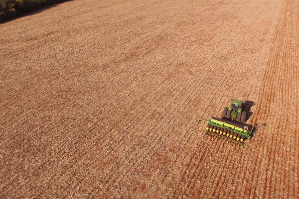 Com o fim do vazio sanit&aacute;rio inicia o zoneamento agr&iacute;cola da soja