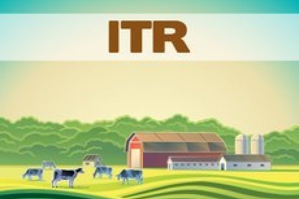 Prazo para declara&ccedil;&atilde;o do ITR encerra dia 30 de setembro