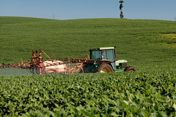 Paraquat na safra 2020/21 tem regras espec&iacute;ficas para uso