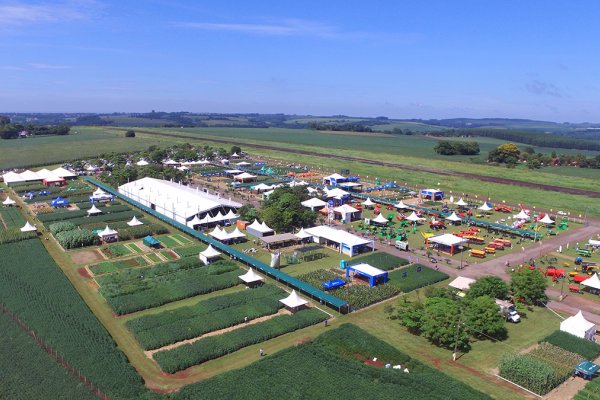 &Uacute;ltimos detalhes da organiza&ccedil;&atilde;o do Dia de Campo Copagril 2022 