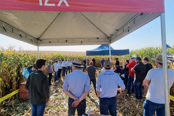 Sudoeste do Paran&aacute; teve Dia de Campo Safrinha Copagril