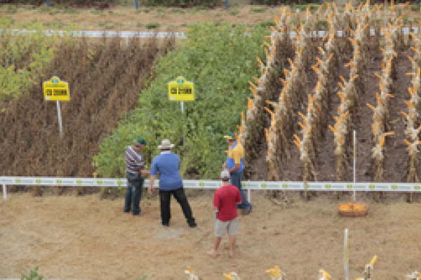 Dia de Campo: a tecnologia como parceira do agricultor                              