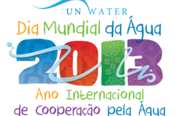 ONU: 2013, Ano Internacional da Coopera&ccedil;&atilde;o pela &Aacute;gua                              
