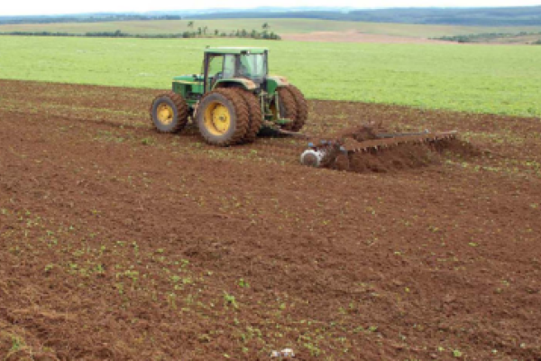 Vazio sanit&aacute;rio da soja come&ccedil;a s&aacute;bado, no Paran&aacute;                              