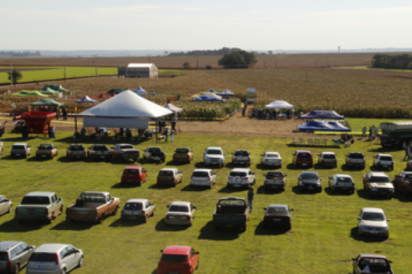 Dia de Campo Milho Safrinha recebe 600 visitantes