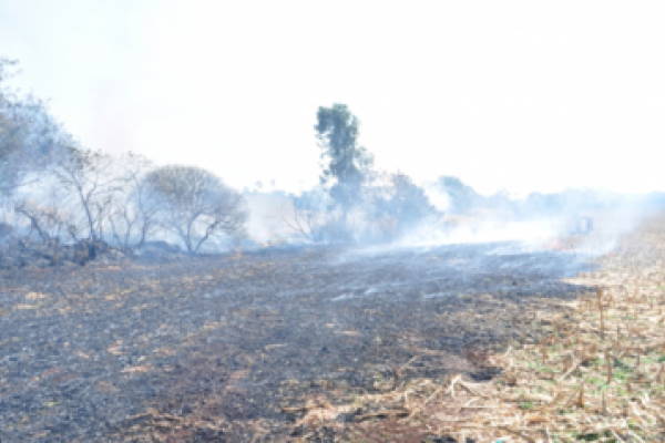 Clima seco, alerta para as queimadas