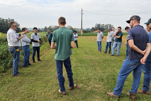 Copagril, IDR-Paran&aacute; e Unioeste avaliam plantas de cobertura na Esta&ccedil;&atilde;o Experimental
