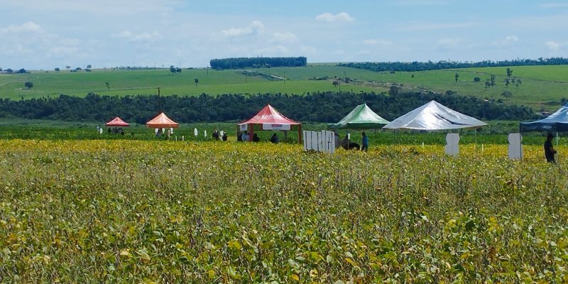 Segunda Edi&ccedil;&atilde;o do Dia de Campo Soja da Copagril re&uacute;ne produtores em Itaquira&iacute;