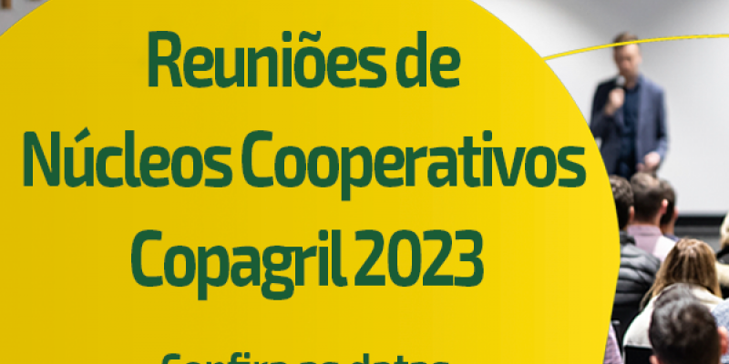 Reuni&otilde;es dos N&uacute;cleos Cooperativos acontecem em novembro e dezembro
