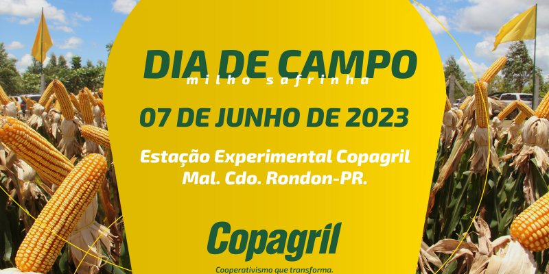 Copagril promover&aacute; Dia de Campo do Milho Safrinha no dia 07 de junho