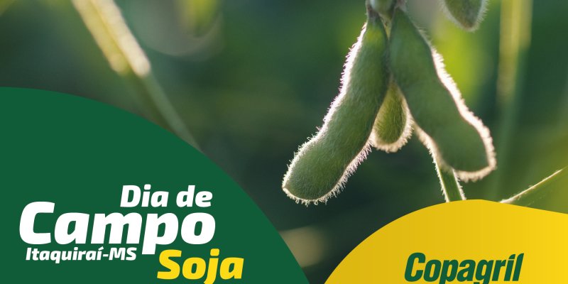 Dia de Campo Copagril em Itaquira&iacute; trar&aacute; inova&ccedil;&otilde;es para o cultivo da soja